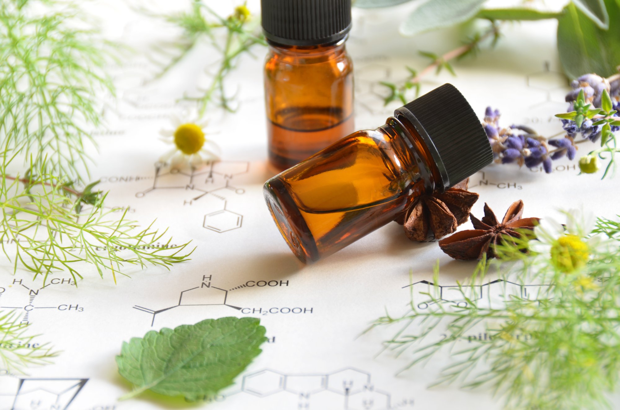 Aroma_Chemistry