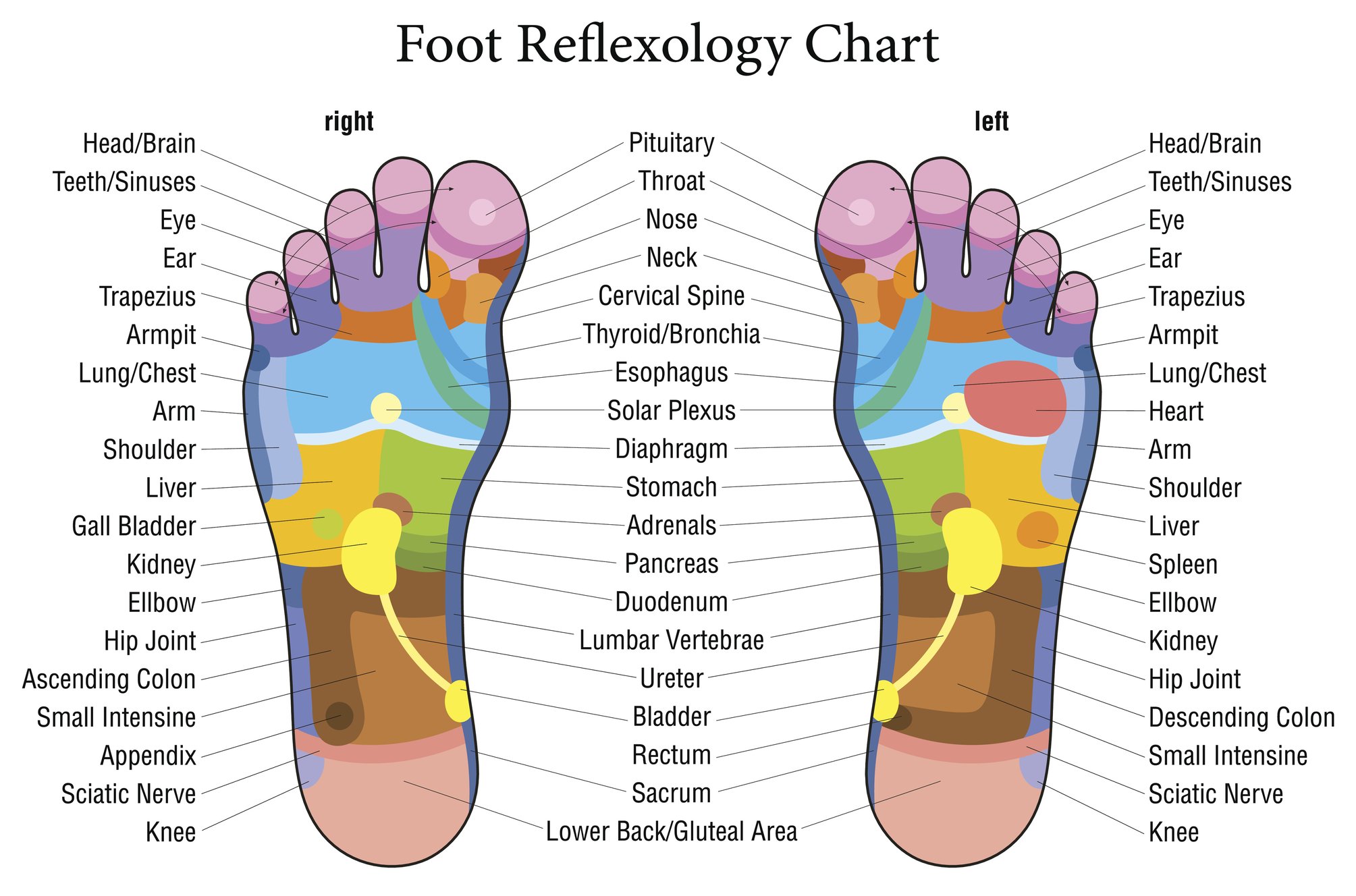 Foot Map